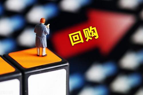 公司回购股东股权注意事项